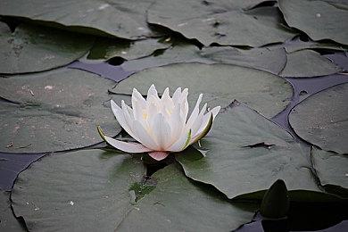 众乐乐新游《我们的夏日运动》登陆Switch 7折优惠开启